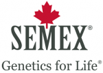 Semex Belgium